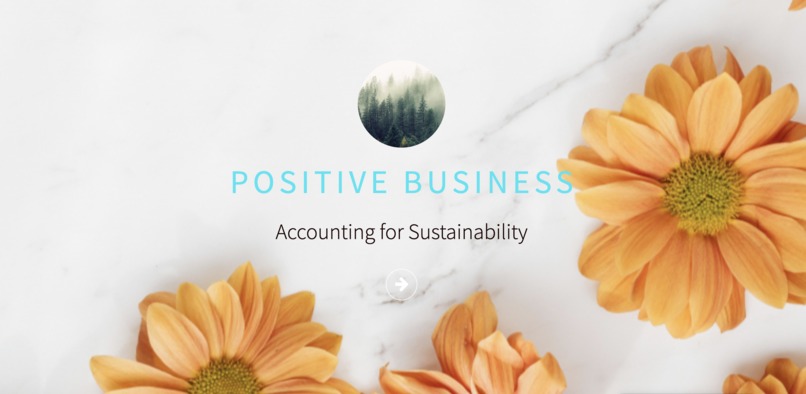 Positive Business – screenshot 1