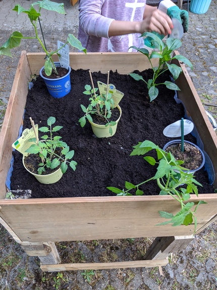 GROWTOGETHER – screenshot 3