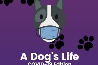 A Dog's Life (COVID-19 Edition) 