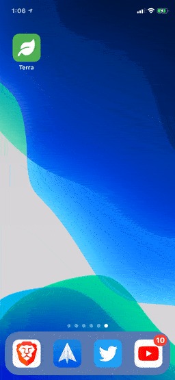 terra – screenshot 2