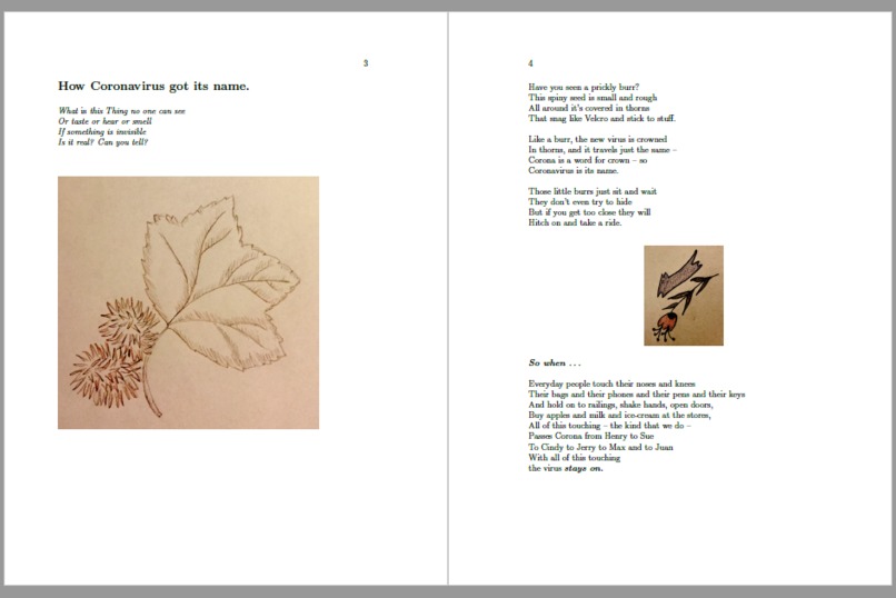A Virus Beside Us: Some Answers for Kids (COVID-19 eBook) – screenshot 2