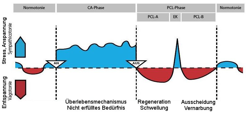 Co-create new biological scientific basis of medicine – screenshot 1
