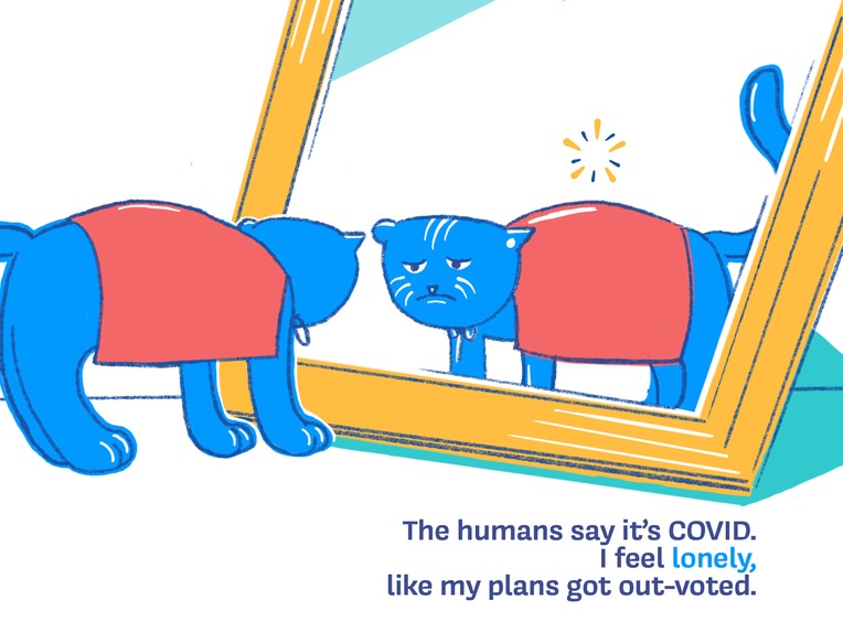 Staying Home with Quarantine Cat – screenshot 6