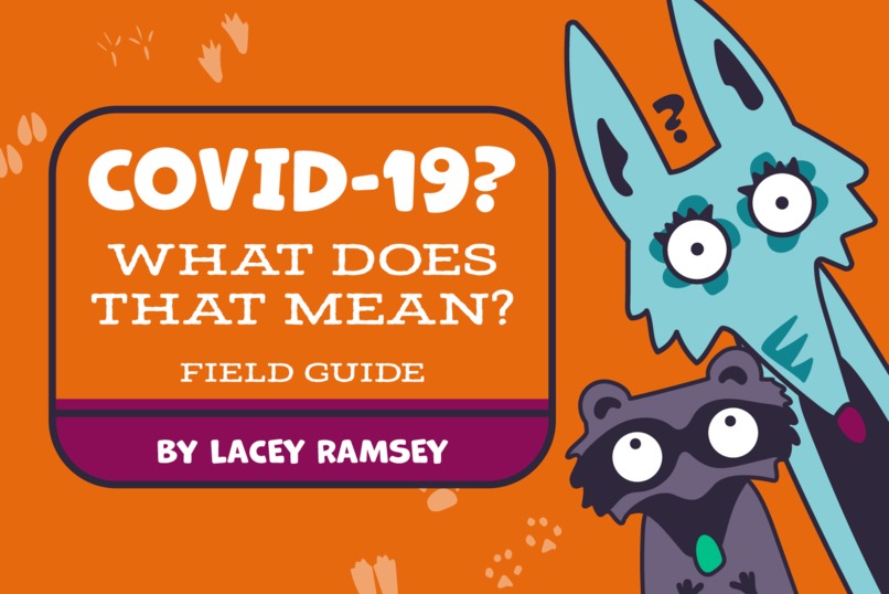 Covid-19? What does that mean? – screenshot 1