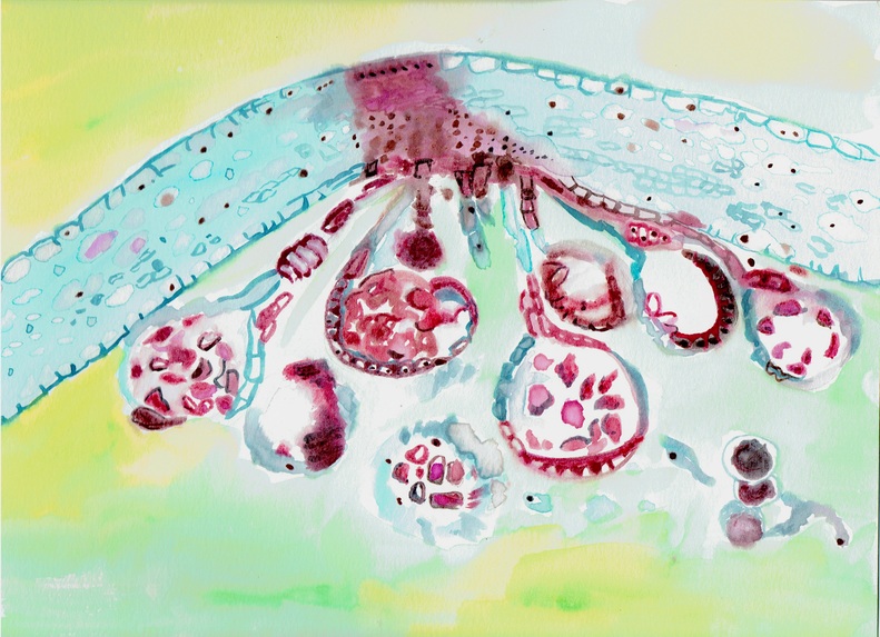 My Morning Quarantined – screenshot 4
