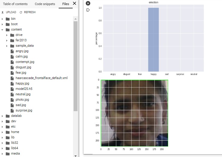 Facial Expressions Recognition Using Web Camera – screenshot 4