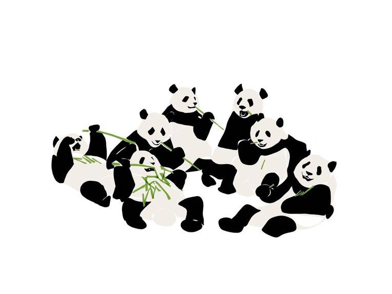 Pandacademy  – screenshot 1