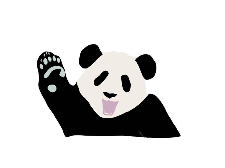 Pandacademy  – screenshot 4