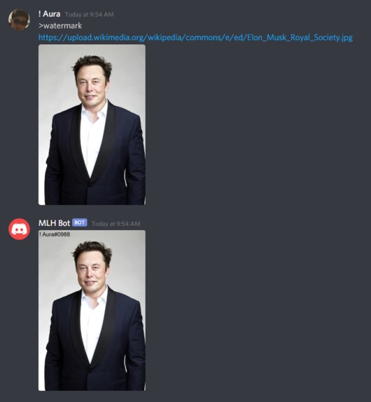 Autowatermark Bot – screenshot 2