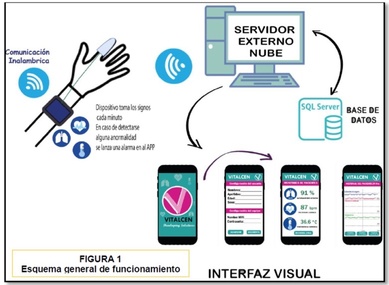 1_1_2_1-VITALCEN – screenshot 3