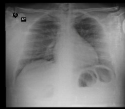 DULI – screenshot 1