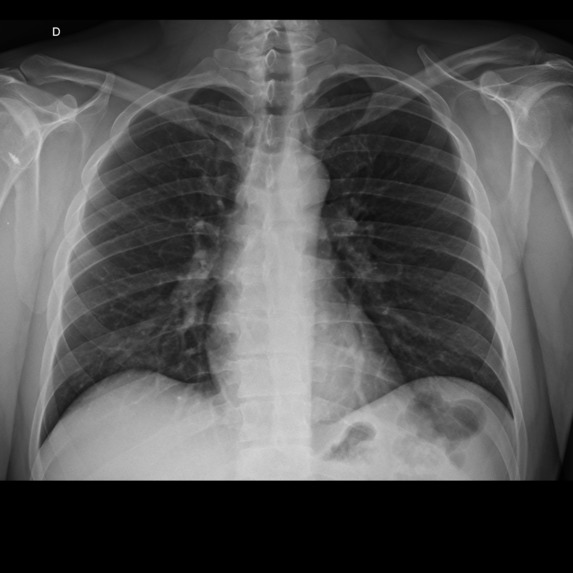 DULI – screenshot 10