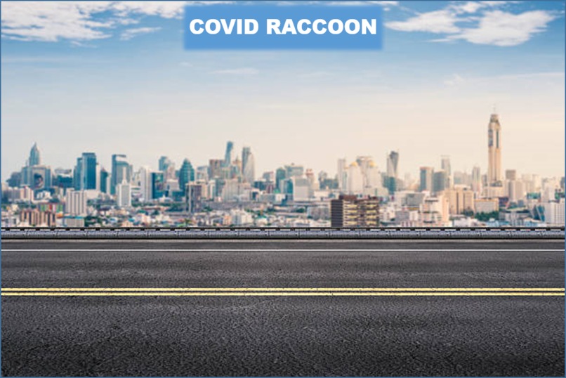 Covid Raccoon – screenshot 11