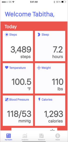 Team 2_BiVO – screenshot 2