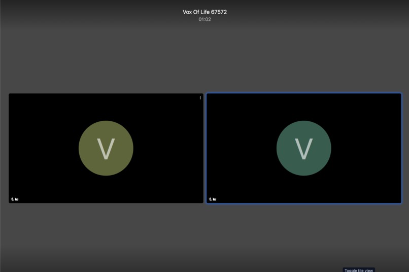 Vox of Life – screenshot 4