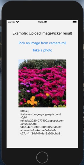 SHMIIF (Should have made it in Flutter) – screenshot 3