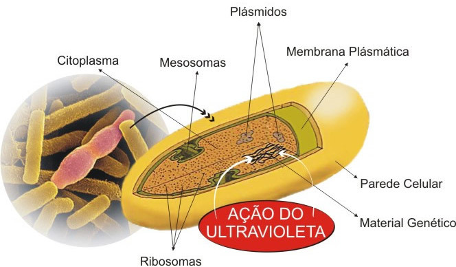 Esterilização utilizando radiação ultra violeta – screenshot 3