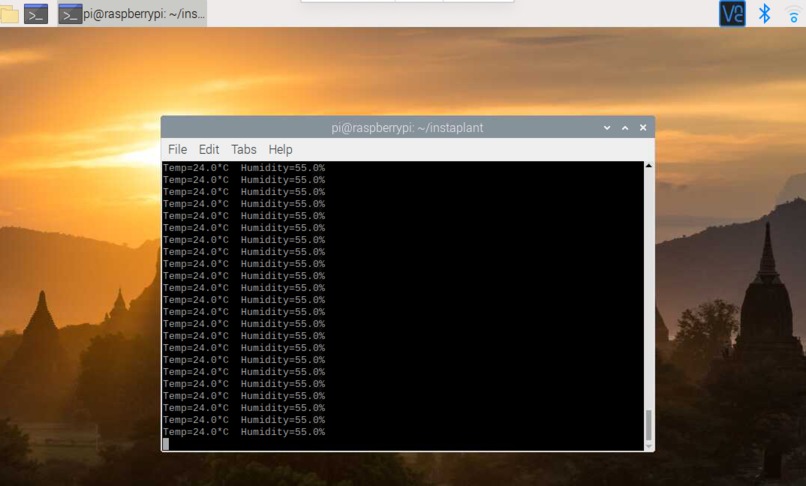 instaplant – screenshot 3