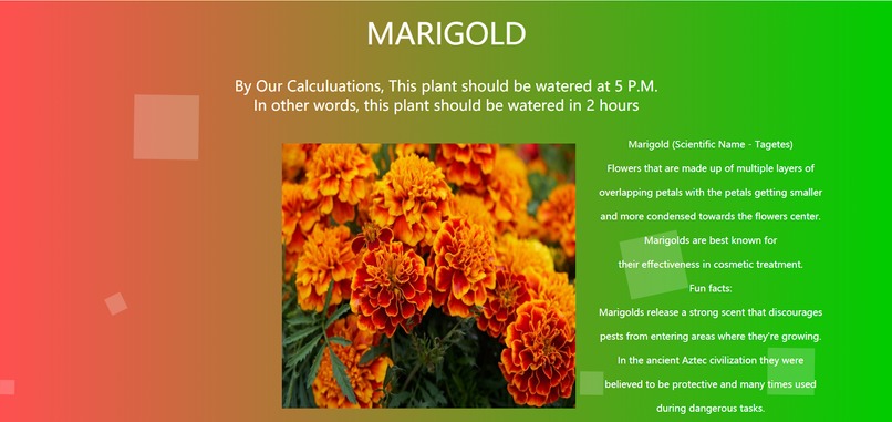 Hydro Grown – screenshot 1