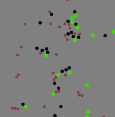 Chemical Equilibrium Simulator Website – screenshot 2