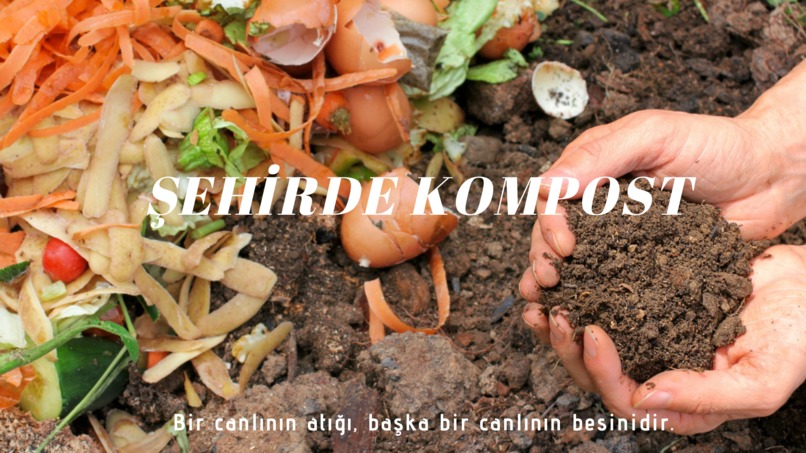 Şehirde Kompost  – screenshot 1