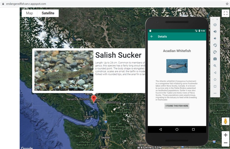 Endangered Fish – screenshot 1