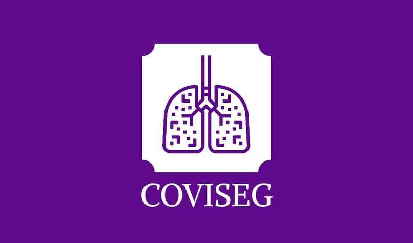 COVISEG - Segmentação de imagens de TC para casos de COVID19 – screenshot 1