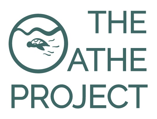 The OATHE Project: One Act at a Time to Help the Earth! – screenshot 1