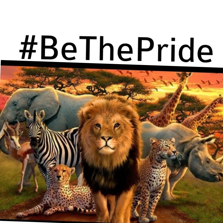 Be the pride | Devpost