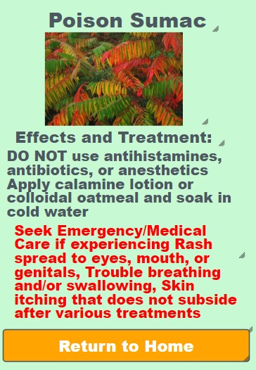 NatureBuddy – screenshot 6