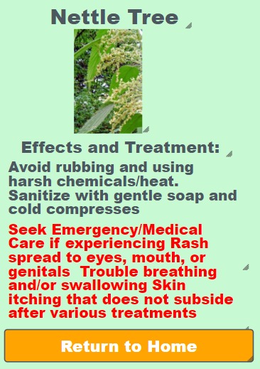 NatureBuddy – screenshot 7