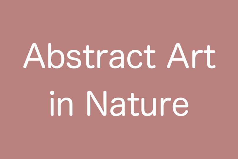 Abstract Art in Nature – screenshot 1