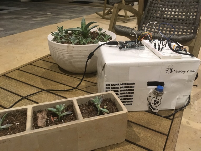 BeeSafeSpace – screenshot 1