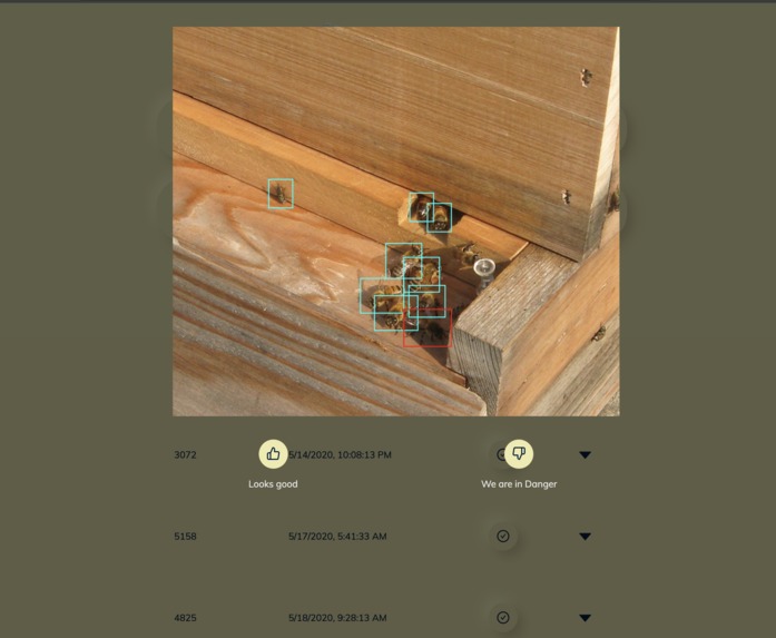 BeeSafeSpace – screenshot 5