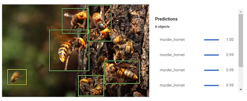 BeeSafeSpace – screenshot 6