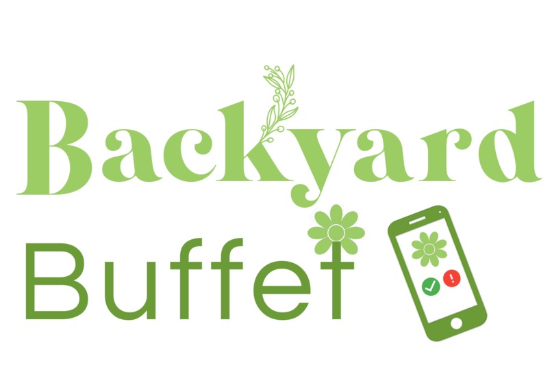 Backyard Buffet – screenshot 1