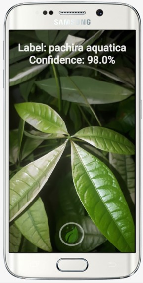 Florafy – screenshot 2