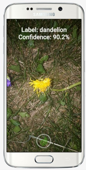 Florafy – screenshot 3