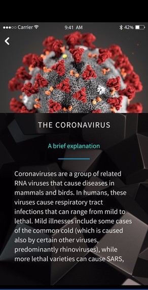 Quaranteen – screenshot 10