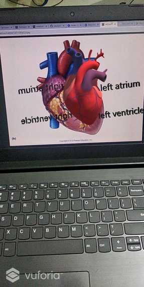 Educat – screenshot 1