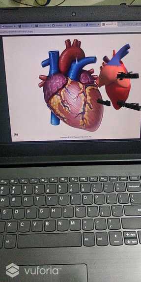Educat – screenshot 2