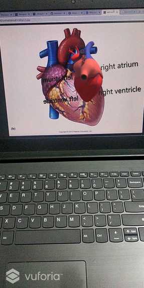Educat – screenshot 3