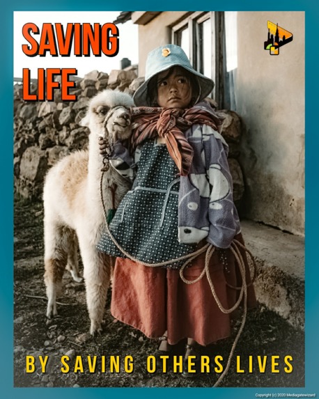 Animals Cruelty Lebanon – screenshot 1