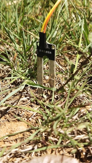 Artificial Plant Emotion Expressor – screenshot 7