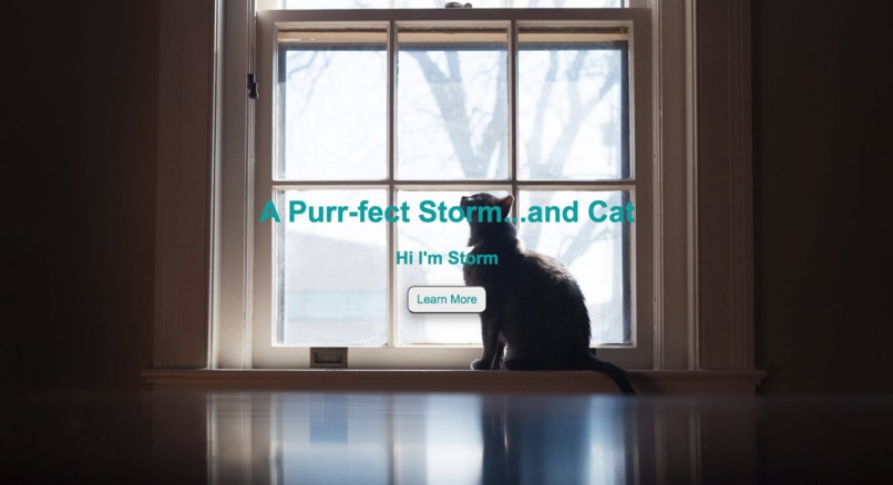 A Purr-fect Storm – screenshot 1