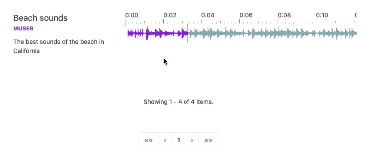 SoundHub – screenshot 1