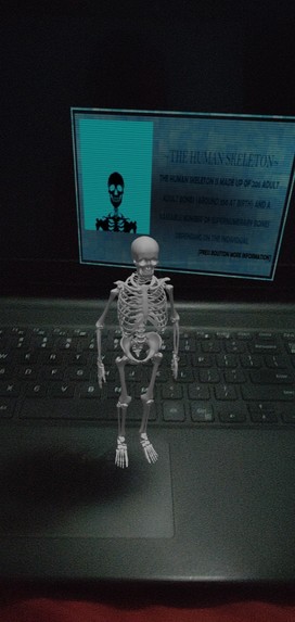 The human Skeleton – screenshot 1