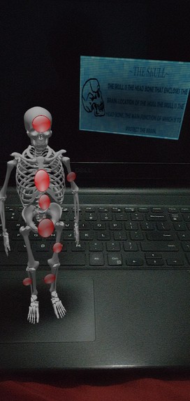 The human Skeleton – screenshot 2