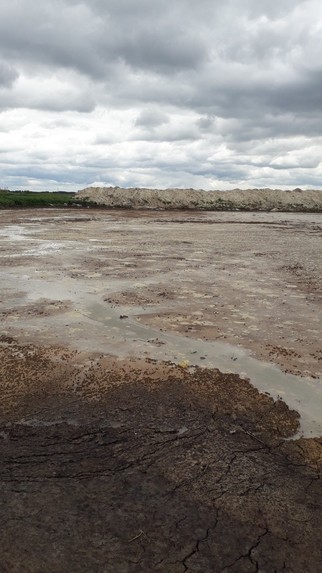 PURE WATER – screenshot 2