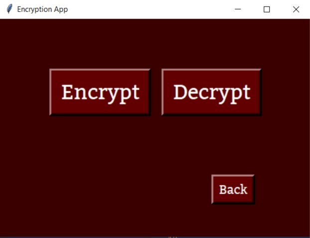 File Encrypted !  – screenshot 2